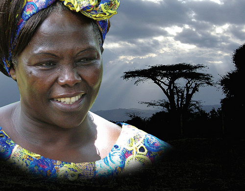 Risultati immagini per 6 marzo 2018  PREMIO DONNE PACE AMBIENTE "Wangari Maathai"   vedi