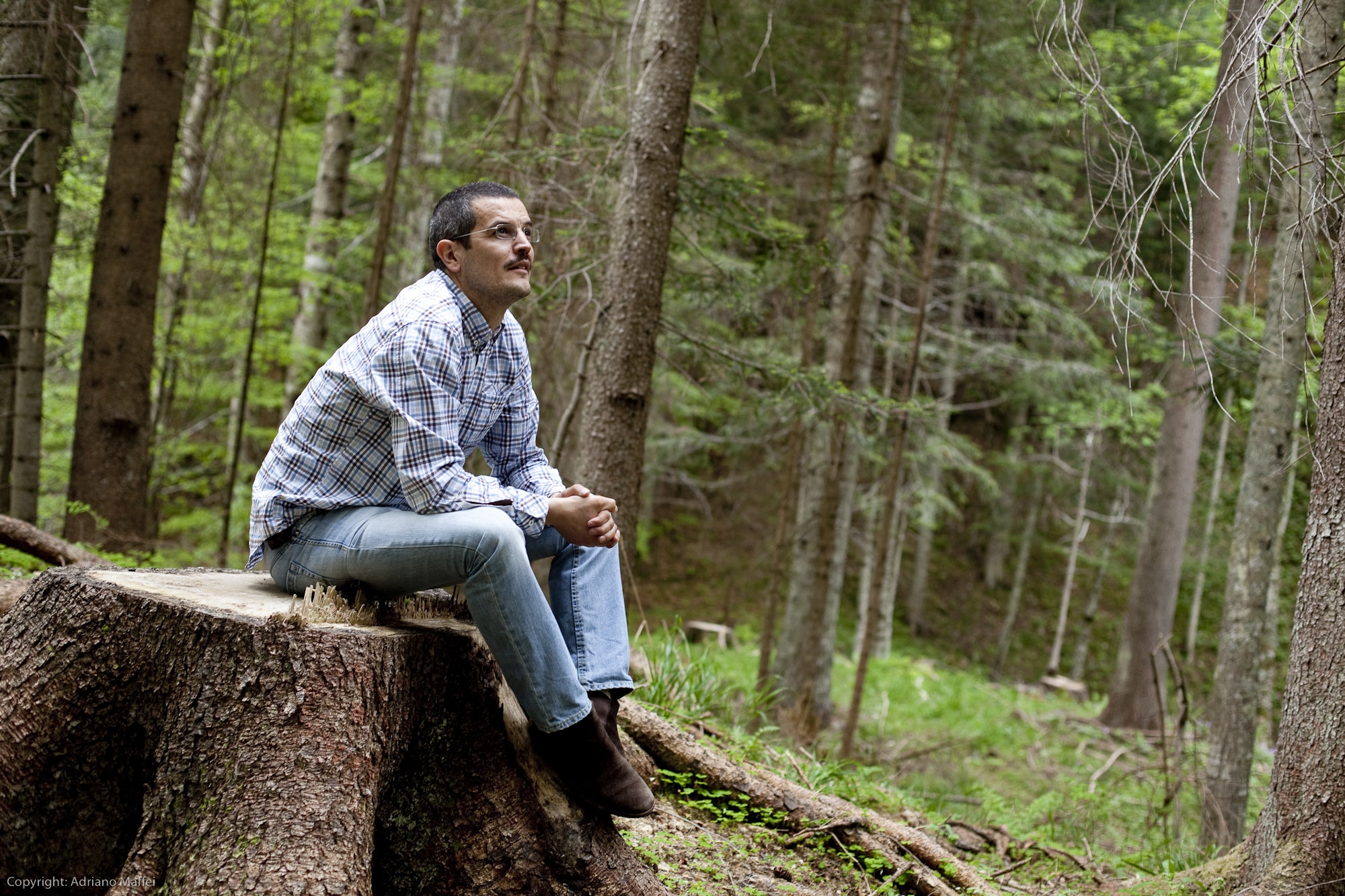 Vivere in una casa di legno: costruire un sogno partendo da zero Bioedilizia friuli