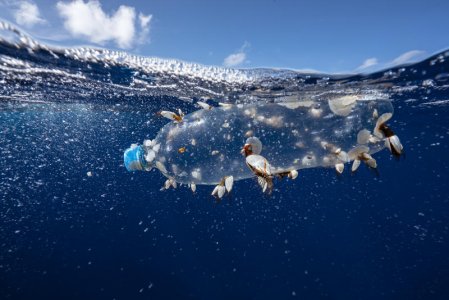 «Ecco come proteggere un terzo degli oceani del pianeta entro il 2030»