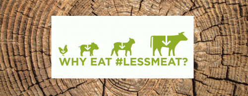 Il consumo di carne da allevamenti intensivi è insostenibile per il pianeta