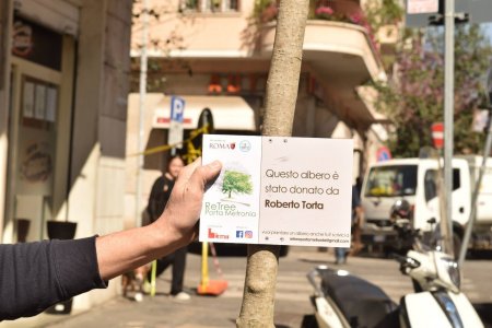 Foreste in città? Sì, grazie!