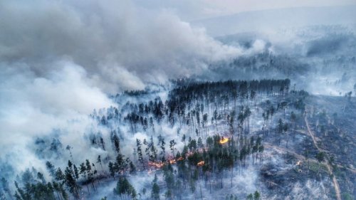 Overshootday, Siberia in fiamme, Amazzonia devastata: siamo al suicidio dell’umanità?