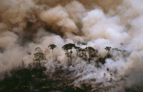 Contro la distruzione dell’Amazzonia, boicottare i killer del pianeta
