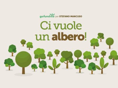 Stefano Mancuso: «A Firenze una scuola dove gli alberi puliranno l'aria»