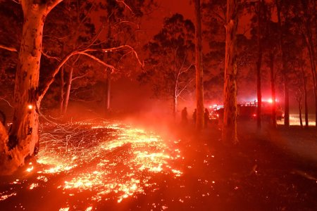 Il suicidio dell’Australia in fiamme che nega i cambiamenti climatici e provoca un'apocalisse
