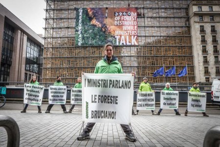 Greenpeace: «Mentre i ministri discutono la legge sulla deforestazione, la foresta scompare!»