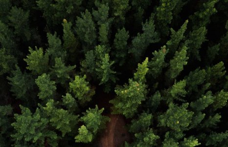 Isde: «Scienza e natura ci avvertono: occorre rapida transizione ecologica ed energetica»