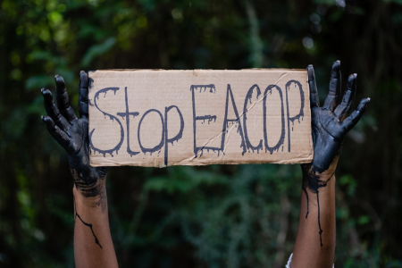 I Fridays For Future: «Non si appoggi il progetto Eacop in Africa»