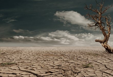 Anbi: «Nel mondo un miliardo di persone interessate dalla desertificazione»