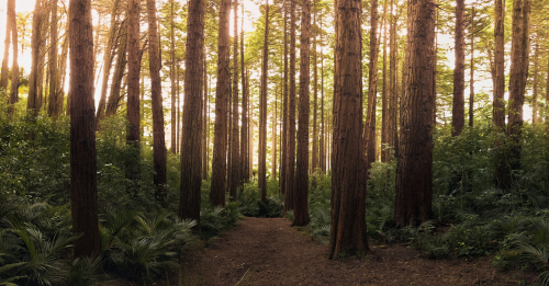 Nasce il Coordinamento nazionale per la tutela degli ambienti naturali dai grandi eventi