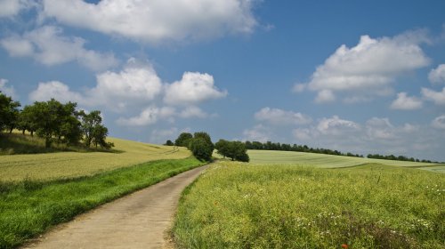 Il giogo del presunto progresso e della presunta modernità è bello quando dura poco