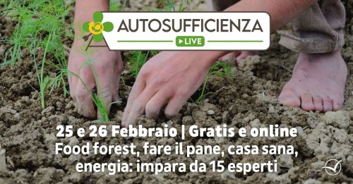 Paolo Ermani e Alessandro Ronca ad Autosufficienza Live il 26 febbraio