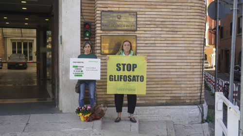 Greenpeace: «Il 12 ottobre si dica no al rinnovo dell'autorizzazione per il glifosato»