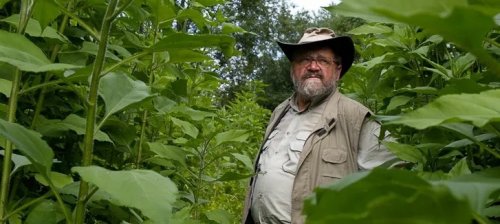 Sepp Holzer, il contadino ribelle laureato all’università della natura