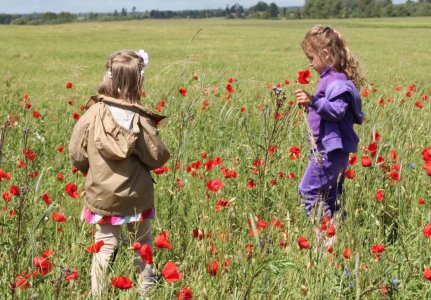 La scuola che vuole bene ai bambini e ragazzi