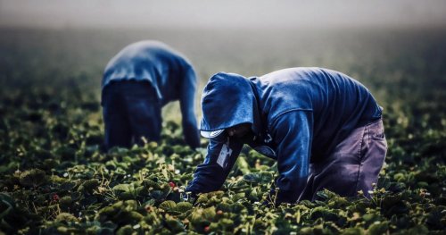 Gli immigrati sono indispensabili per la società della crescita e lo sa perfettamente anche chi urla  all’invasione