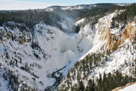 Fuller, “custode dell’inverno” a Yellowstone: «Qui non è più come prima»