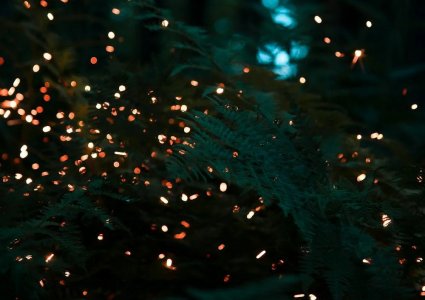 Maravigliosi spettacoli gratis