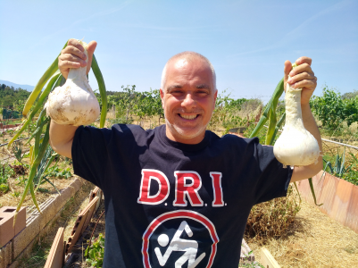 Orti autoirriganti e agricoltura leggera: raccolti abbondanti, aumento della qualità di vita e risparmio di soldi,  di lavoro e di acqua