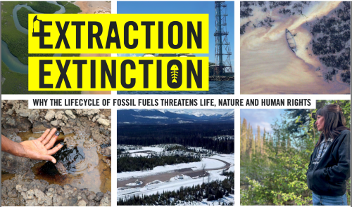 Le attività estrattive ci portano verso l'estinzione: il rapporto di Amnesty