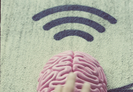 Keith Cutter: «Come la tecnologia wireless sta disgregando il mondo vivente»