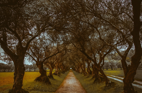 La Restanza, speranza per il futuro e dedizione alla propria terra