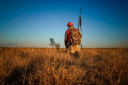 ISDE: «Caccia selvaggia, le nuove norme minacciano la biodiversità»
