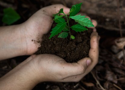 Ridurre la dipendenza, aumentare l’autonomia: ecovicinato, energie rinnovabili, orti autoirriganti ed economia domestica