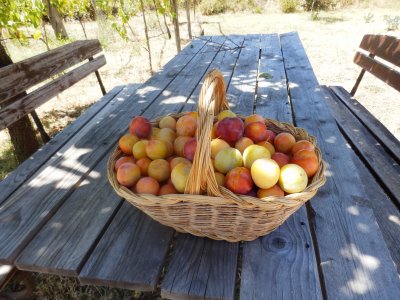L'alimentazione è salute