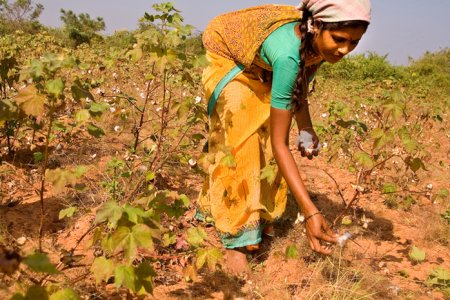 India, ogni 30 minuti un contadino si suicida 