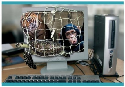 Internet e il commercio illegale delle specie in via di estinzione