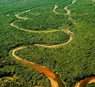 Il Brasile mette a rischio la foresta amazzonica. Si aspetta il veto della Rousseff