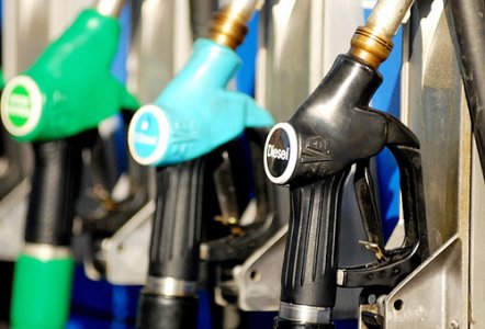 Greenpeace: la 'benzina verde' minaccia clima e foreste