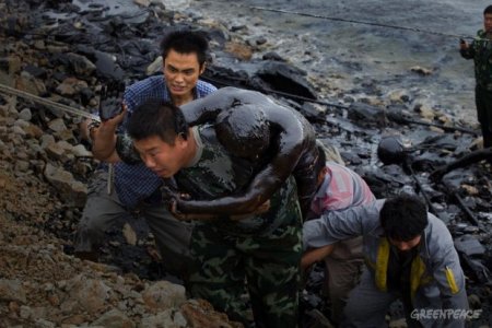Disastri ecologici: in Cina un'altra marea nera
