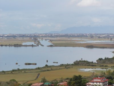 Inquinamenti pericolosi, da Lucca a Mantova: a rischio la salute dei cittadini