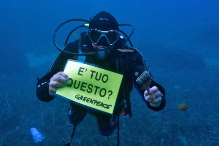 Fondali, Santuario dei Cetacei: è allarme per l'Isola del Giglio