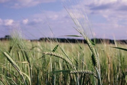 Riforma della Politica Agricola Comune, Lipu: 