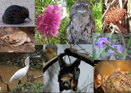 Biodiversità. Iucn: 25% dei mammiferi a rischio estinzione