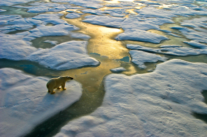 L’ecoscetticismo sale in cattedra con i negazionisti del riscaldamento globale