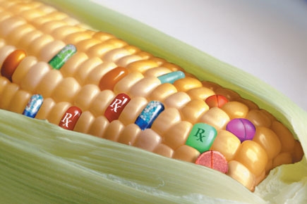OGM: la Cina respinge mais Usa contaminato
