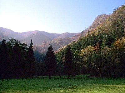 Il Parco Nazionale Foreste Casentinesi
