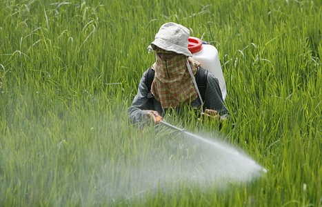 Terra contaminata, l’Ue proroga l’importazione