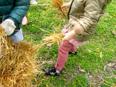 In Sicilia arriva l'APE, aula didattica permanente ecologica