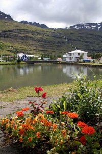 Viaggio a Nordest. I fiordi orientali e il futuro dell’Islanda 