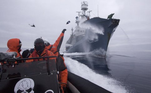Salviamo Watson, fondatore e presidente di Sea Shepherd 
