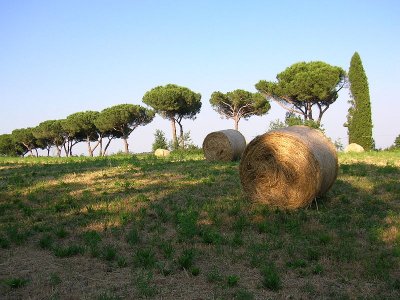 Cementificazione: campagne romane a rischio scomparsa