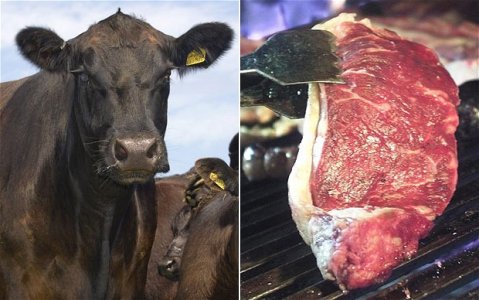 Mangiar carne, un'abitudine indotta 