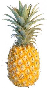 Ananas, chi ne paga il costante abbassamento di prezzo?