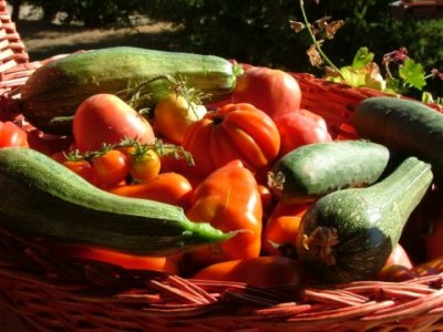 “Non chiudete lo sportello del biologico”: appello al Piemonte