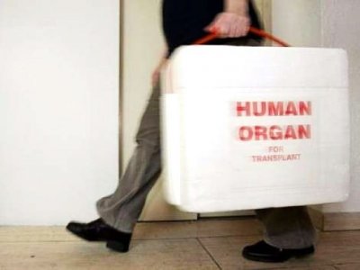 Donazione degli organi: “attuare subito la delibera” a Roma e Milano